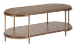 Modern Brown Coffee Table With Open Shelf and Metallic Base