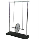 Momentum & Energy Conservation Wheel Demo Tool