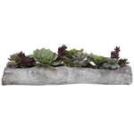Uttermost Charita Succulent Mix – 30×10×10 in Green Burgundy Faux Soil Concrete Driftwood Log for Home or Office