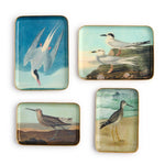 sea bird trinket trays