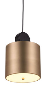 Contemporary LED Hanging Lamp in Luxe Gold Finish