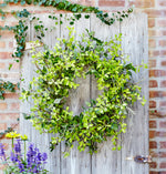 Mixed Foliage Twig Wreath – 30