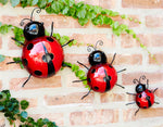 wall mount ladybug