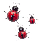 insect wall art