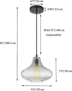 Matte Black Pendant Ceiling Fixture