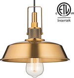 Adjustable Pendant Lamp – Fine Art Lighting Bixio in Restoration Gold