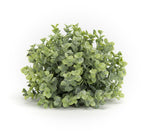 boxwood half orb