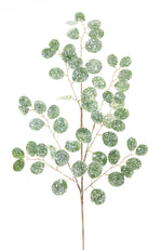 Frosted Silver Dollar Eucalyptus Spray