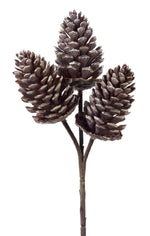 Triple Pine Cone Spray