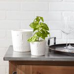 Simple White Porcelain Face Pots Set of 2 5.25 Inch Height By Melrose