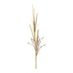 Set of 2 Faux Foxtail Stems – 47