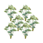 Tall Caladium Bush Set Of 6 With 18.5 Inch Height For Entryway Styling By Melrose