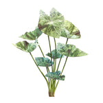 Caladium Bush Decorative Collection Of 6 With 18.5 Inch Height For Plant Arrangements By Melrose