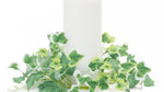 Mixed Ivy Candle Ring Set of 6 3.5 Inch Height for Seasonal Styling By Melrose