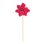 Anemone Flower Stem