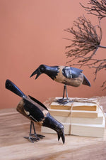 set of 2 crows