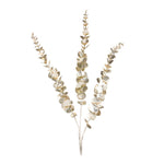 Set of 6 glittered eucalyptus sprays 36