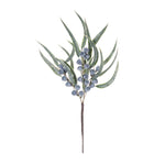 Winter Berry Pod Pick