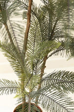Close-up of a potted artificial pine tree with green needle-like branches and brown trunk, photographed against a light neutral background.