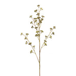 Melrose Winter Berry Pod Spray (Set of 6)