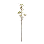 Winter Berry Pod Spray