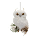 Melrose Feathered Owl Ornament (Set of 6(