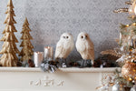 Christmas Decor