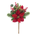 Poinsettia Pine Bush