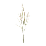 Foxtail Spray Set of 6 – 33.25