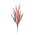 Foxtail Stem Set