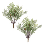 Green Brown Fern Bush