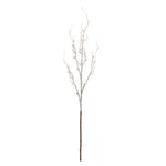 Icy Winter Twig Branch