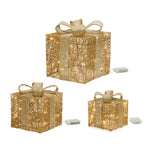 Christmas LED Package with Lights – 9