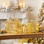 Christmas LED Package with Lights – 11