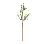 Berry Spray – Indoor Faux Foliage Stems – 32 Inch Red & Green Decorative Accent (Set of 6) – By Melrose
