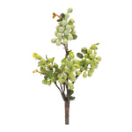 Berry Spray – Indoor Faux Green Berry Stems – 17 Inch Decorative Set of 4 – By Melrose