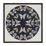 framed butterfly wall art