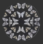 nature inspired wall art