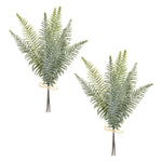Fern Bundle Décor