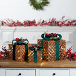 LED Lighted Woven Package Trio