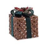LED Holiday Package Decor