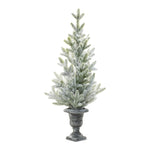 Potted Mini Pine Tree – Indoor Holiday Decor