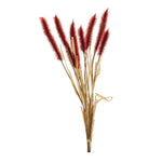 Fall Foxtail Grass Stem Bundle 23