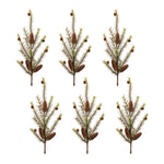 Winter pine greenery spray close up detail