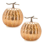 Fall Home Decor LED Pumpkin Pair Mercury Glass Finish