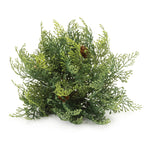 Cedar Half Orb Holiday Décor