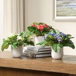 Trilogy Primrose Accents Potted in Dimpled White Ceramic Set of 3