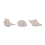 Decorative Shell Filler – Coastal and Nautical Home Decor