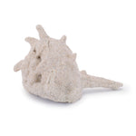 Beach House Shell Decor – Set of 12 Resin Shells