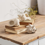 Sea Shell Decor Set of 12 – Beige Coastal Tabletop Accents